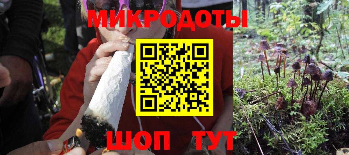 Галлюциногенные грибы Cubensis  Псилоцибиновые грибы мицелий  Вход с VPN  Новоуральск 