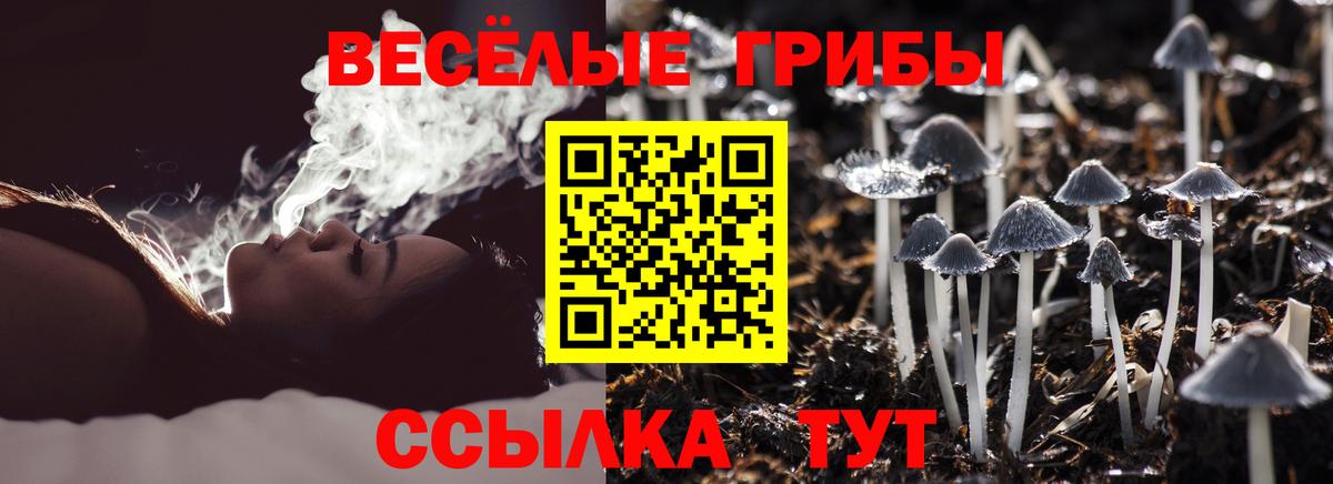 МЕФ кристаллы  Гашиш  ЭКСТАЗИ  Каннабис  Alpha PVP СК   Амфетамин кристаллы  Вход с VPN  ГАШИШ  Новоуральск  Цена 